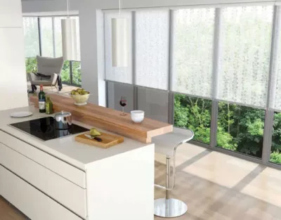 Roller and Screen Shades