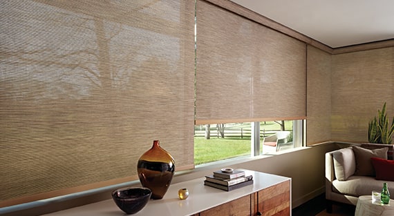 Designer Screen Shades
