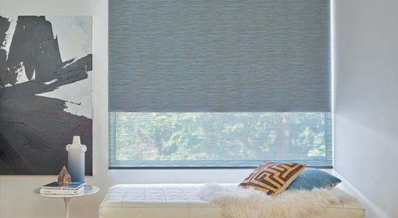 Designer Roller Shades