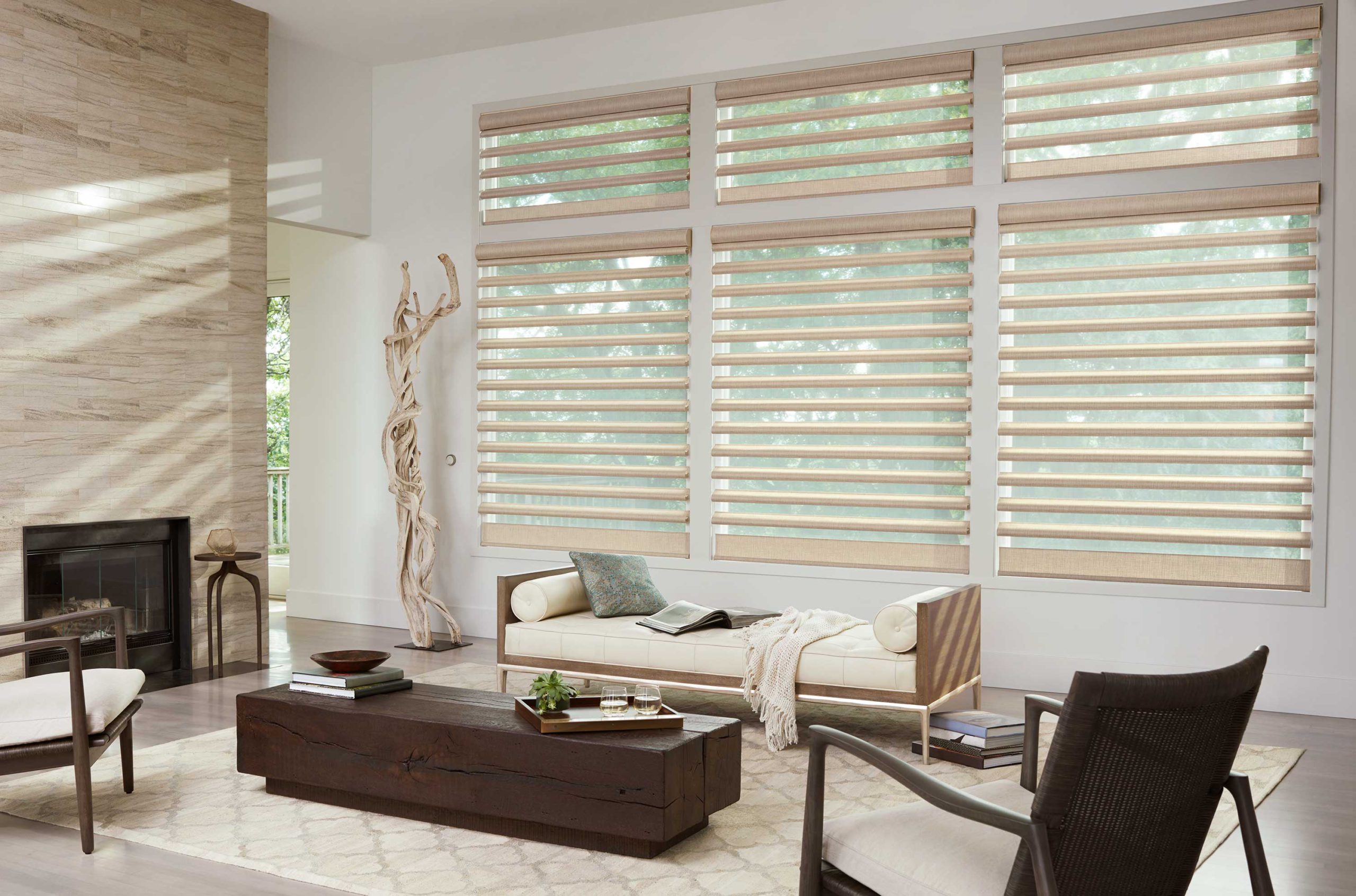 Roller Shades