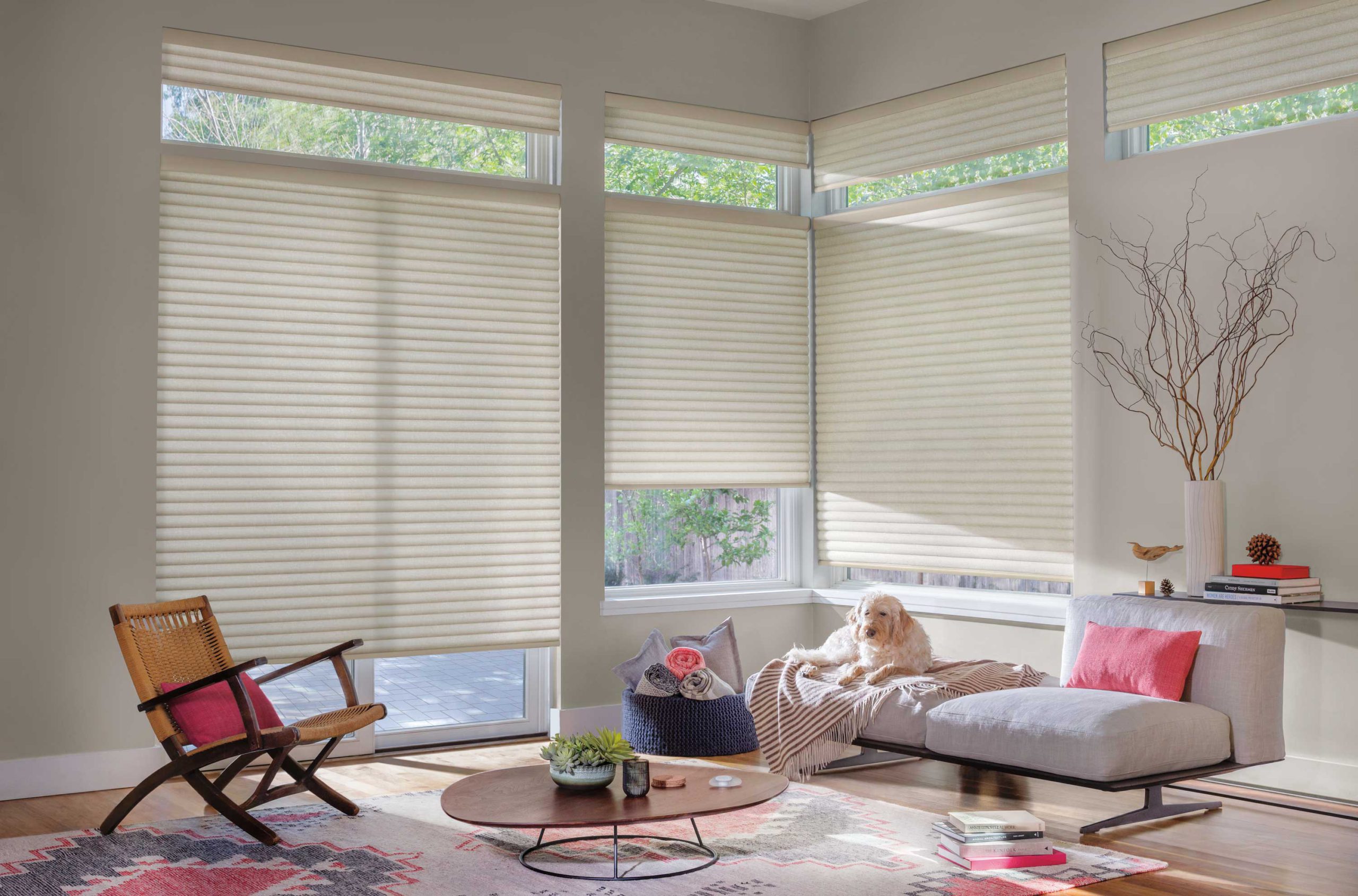 Roller Shades